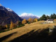 Alpe Gorta con M.te Leone sullo sfondo.