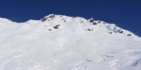 sulla sx il colletto salito/sceso