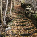 Salendo a Moulinet, su sentiero “che rende ….”