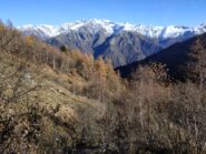 Nel bosco rado mentre si sale, sguardo verso la Val Soana.