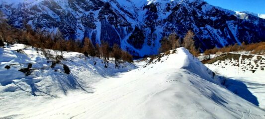 in basso nei canali dalla trasformata alla farina alla crosta