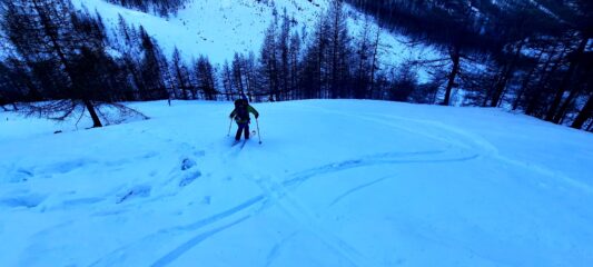 di nuovo farina sui prati sopra la pista da fondo 
