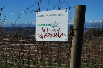 Informazione da tenere presente ….