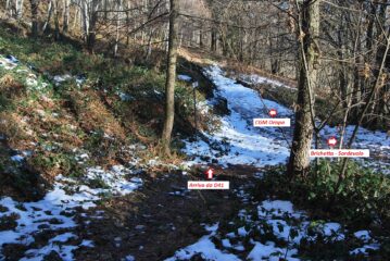 L’arrivo al bivio presso l’alpe Brichetta, scendendo dal D41
