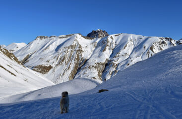 Salendo nel tratto mediano,bella vista su Tete de Blaves e Oronaye sullo sfondo
