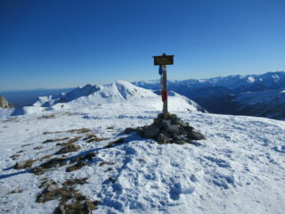 Cima Fauniera (m.2515)