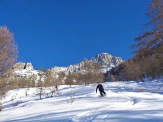 Buona farina sul conoide