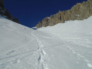 Farina compressa in dx or nella parte alta