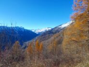 proseguendo verso Meire Bellocchio