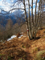 Sentiero verso i Chiappili