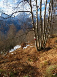 Sentiero verso i Chiappili