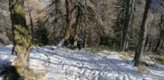la ripida salita nel bosco