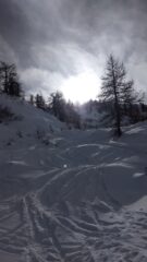 Valloncello