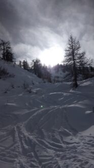 Valloncello