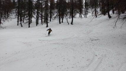 Tratti belli