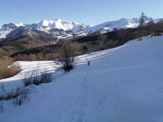 grandi panorami