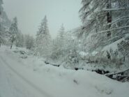 Ambientino al mattino...