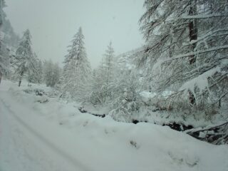 Ambientino al mattino...