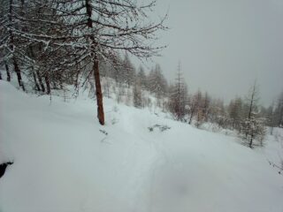 Salendo ribattendo traccia