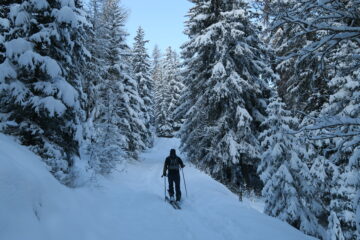 in salita nel bosco fuori dalle piste battute
