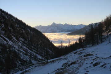 il sole illumina il nebbione
