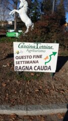 Alla rotonda a Cavaglià un segnavia che non si può ignorare