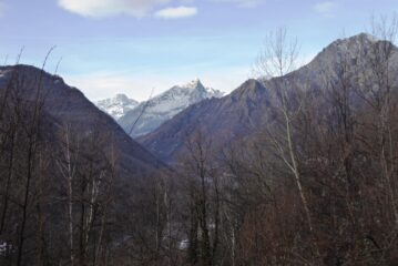 Appaiono le Uje in mezzo al bosco