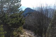 Ora tocca al Roccasella