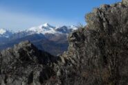Il Rocciamelone dal Roccasella