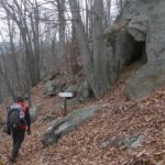 Salendo nella faggeta, al bivio