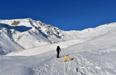 Salendo nel tratto mediano verso il colle Intersile