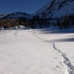 Pian delle Baracche scendendo