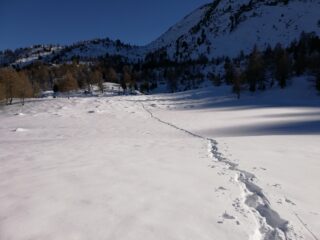 Pian delle Baracche scendendo