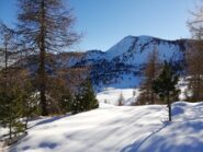 Monte Nebin e Pian delle Baracche salendo