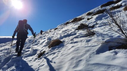 verso la dorsale