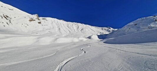 tratti di buona farina