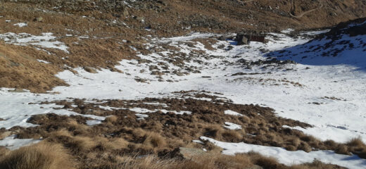 Alpe Pistono inferiore