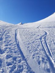 Cundi neve