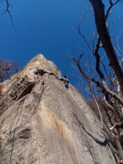 Sempre Traki su ViperInox