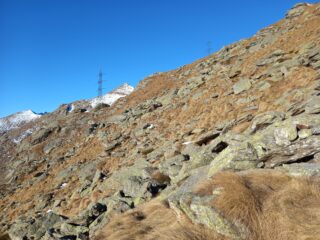 Sentiero da percorrere_2