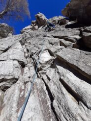 Ancora figli di Putin