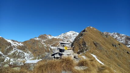 la cima