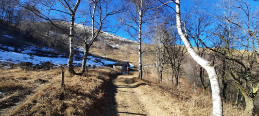alla baita sotto l'Alpe