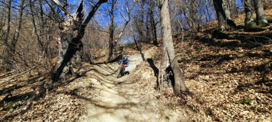 Yeti trail lucido