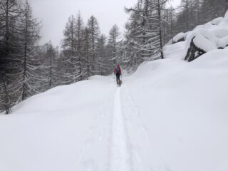 Poderale in salita 