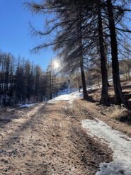 Condizione della strada dì rientro dalla gita