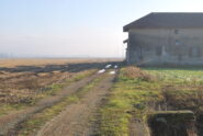 Retro della Cascina Varola e strada da Larizzate, lungo la quale arriva la Via Francigena proveniente dalla Valle di Susa