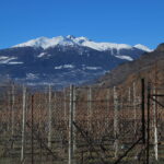Punta Chaligne e M. Fallere visti dai vigneti sopra Nus