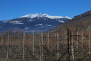 Punta Chaligne e M. Fallere visti dai vigneti sopra Nus