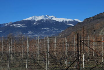 Punta Chaligne e M. Fallere visti dai vigneti sopra Nus
